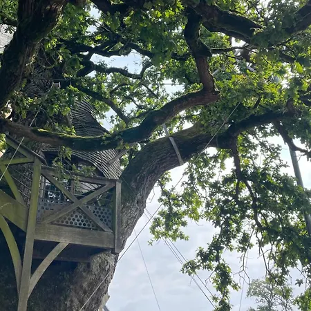 « le Querqus » - 6 Voyageurs *