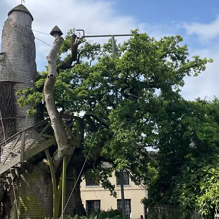 « le Querqus » - 6 Voyageurs Allouville-Bellefosse