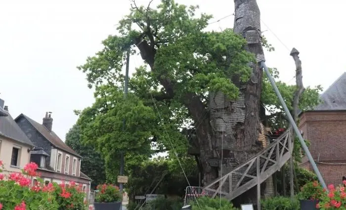 Holiday home « le Querqus » - 6 Voyageurs Allouville-Bellefosse